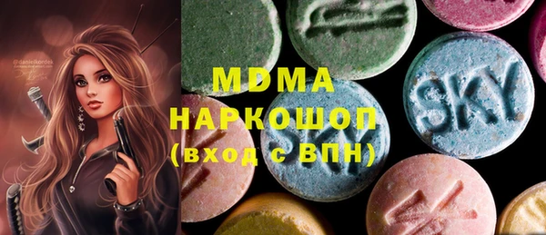 дживик Дубна