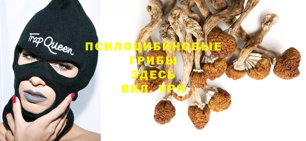 spice Пролетарск