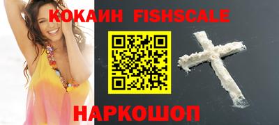 гашик Кингисепп