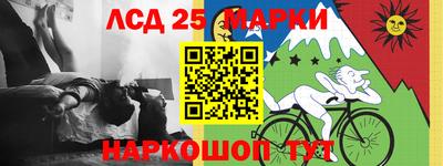 гашик Кингисепп