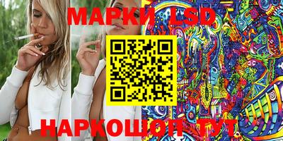 гашик Кингисепп