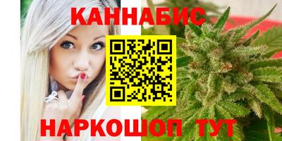 гашик Кингисепп