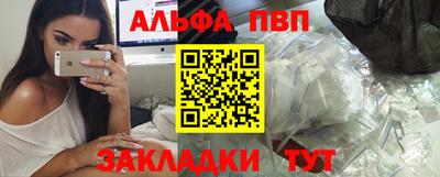 гашик Кингисепп