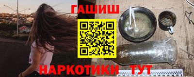 гашик Кингисепп
